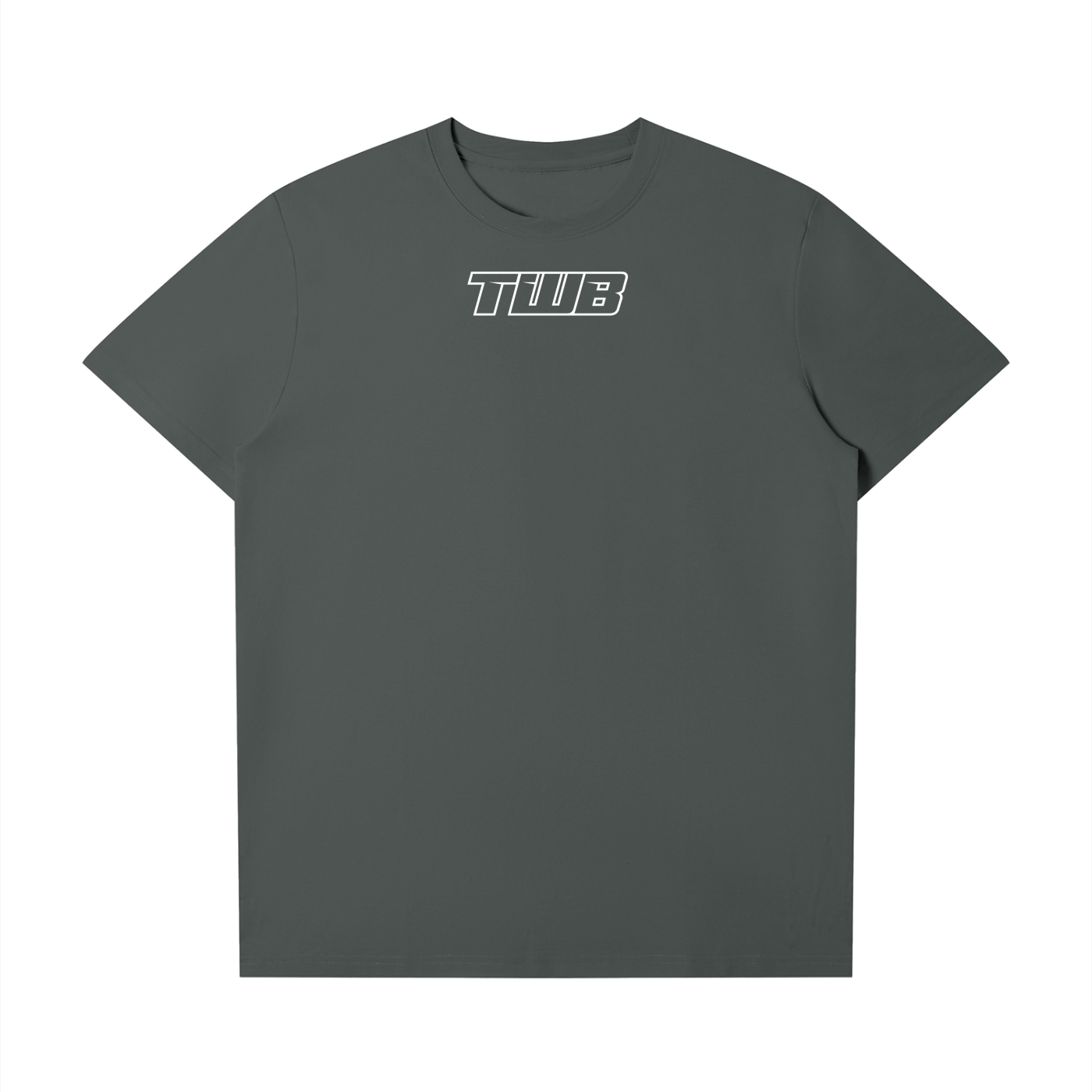 Make Surrons Great Again t(smaller fit)